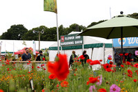 New Forest Show 2016