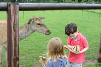 Deer park and kids