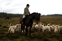 Stockley New Forest Hunt