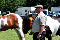 Hampshire Hoover Show, Time 2-3 photos in rings.