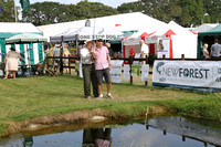New Forest Show 2014