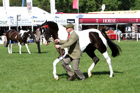 Royal Windsor Horse Show 2014