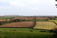 Farming by the sea and West Country Fields