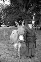 The Alresford Show 2013