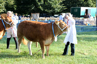 Alresford Show 2016