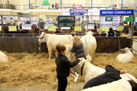 Royal Bath and West Show 2013