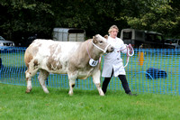 Alresford Show 2015