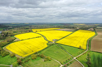 Rape Fields crops and meadows from a drone